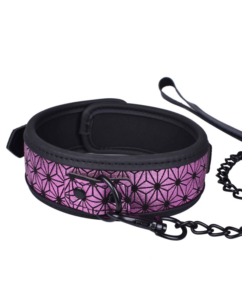 Pink Celestial Collar& Leash