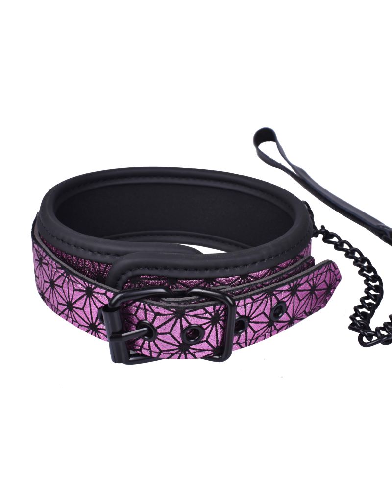 Pink Celestial Collar& Leash