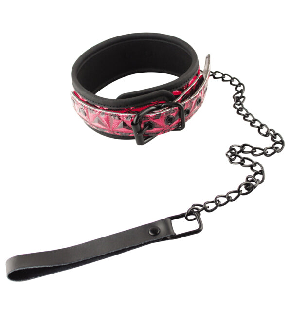 Pyramid Collar with Leash